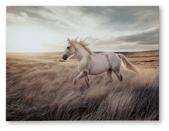 Errolville Wall Decor