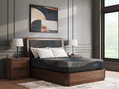 Luxury Living Gallery - Ashley Furniture - Millennium 2.0 Foam 12 Inch Mattresses - California King / Black - M31151