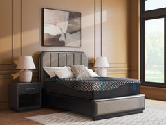 Luxury Living Gallery - Ashley Furniture - Millennium 2.0 Hybrid 14 Inch Mattresses - Twin XL / Black - M31471