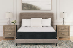 Luxury Living Gallery - Ashley Furniture - Limited Edition Plush Mattresses - King / White - M41141