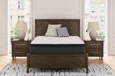 Luxury Living Gallery - Ashley Furniture - Limited Edition PT Mattresses - California King / White - M41251