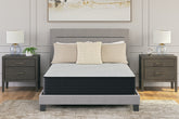 Luxury Living Gallery - Ashley Furniture - Palisades Firm Mattresses - California King / Gray/Blue - M41551