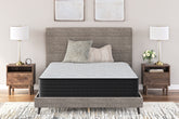 Luxury Living Gallery - Ashley Furniture - Palisades Plush Mattresses - Twin / Gray/Blue - M41611