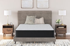 Luxury Living Gallery - Ashley Furniture - Palisades Plush Mattresses - Twin / Gray/Blue - M41611