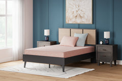 Luxury Living Gallery - Ashley Furniture - iKidz Coral Mattresses - Twin and Pillow 2/CN / Coral - M43111