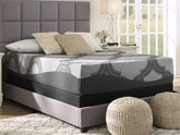 Luxury Living Gallery - Ashley Furniture - 1100 Series Mattresses - Twin / Gray - M52611