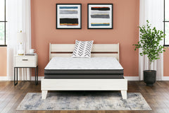 Luxury Living Gallery - Ashley Furniture - 10 Inch Pocketed Hybrid Mattresses - Queen / White - M58931