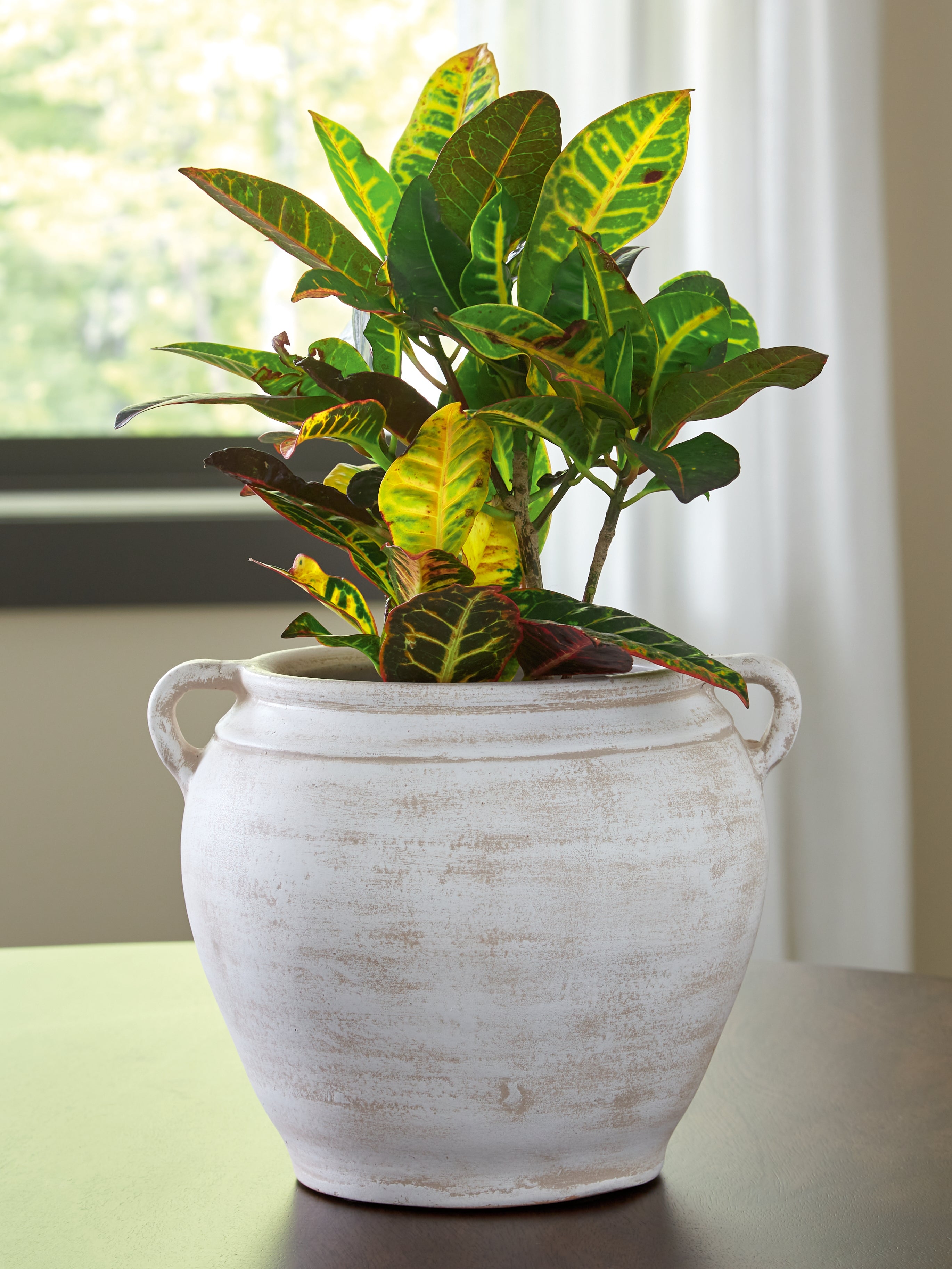 Luxury Living Gallery - Ashley Furniture - Meadie Vase - Vase / Distressed White - A2000787