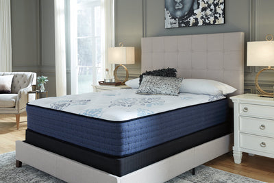 Bonita Springs Firm Mattress