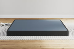 Luxury Living Gallery - Ashley Furniture - Low Profile Queen Foundation - Queen Foundation / Black - M78X32